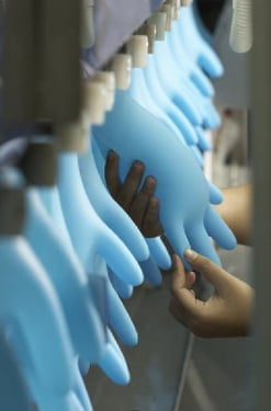 exam glove manufacturing