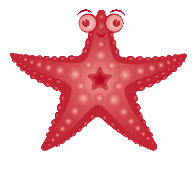 Starfish_updated_lossy