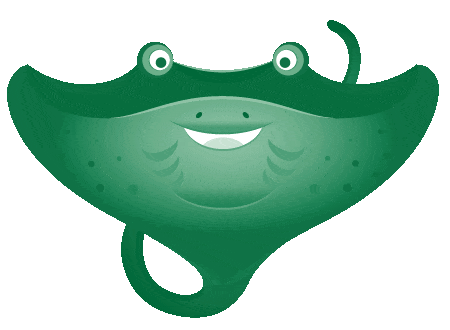 Stingray_updated_lossy